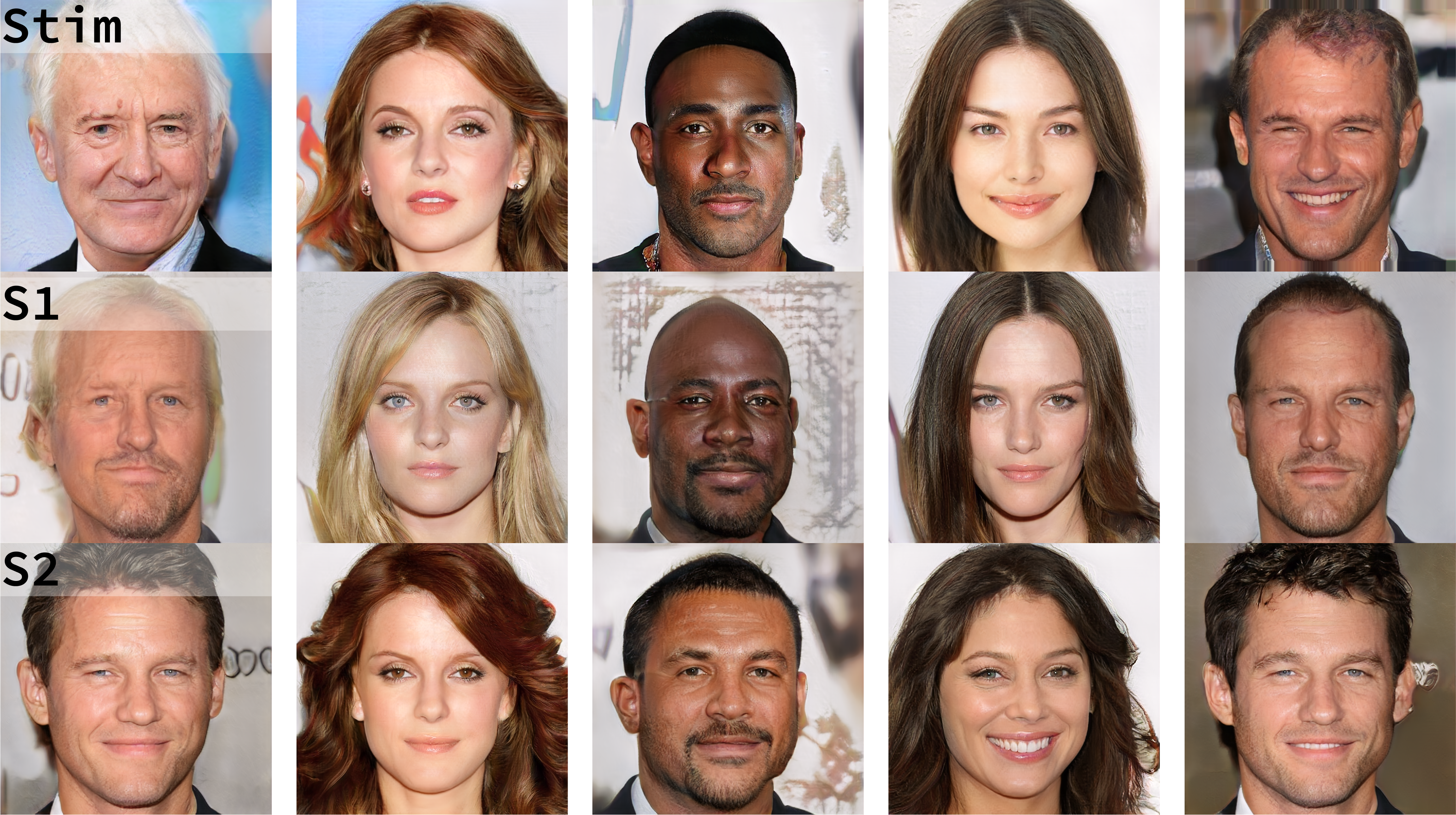 Stimuli and reconstructions